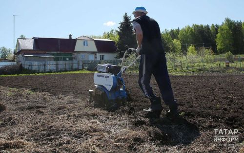 В Татарстане владельцам заброшенных земельных участков дается три года на то, чтобы привести их в надлежащее состояние
