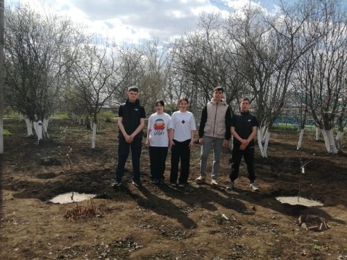 Сажая яблони, выпускники оставляют след в родной школе
