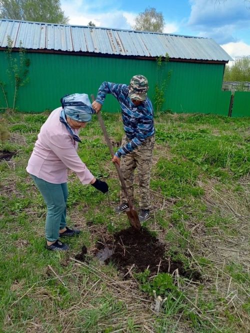 Жители села Подгорный высадили «Сад Памяти» в честь 80-летия Великой Победы