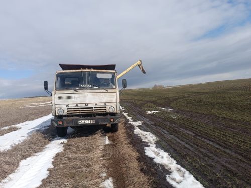 Два хозяйства района завершили подкормку озимых