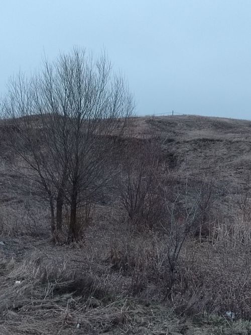 Сладких снов, наши любимые подписчики!