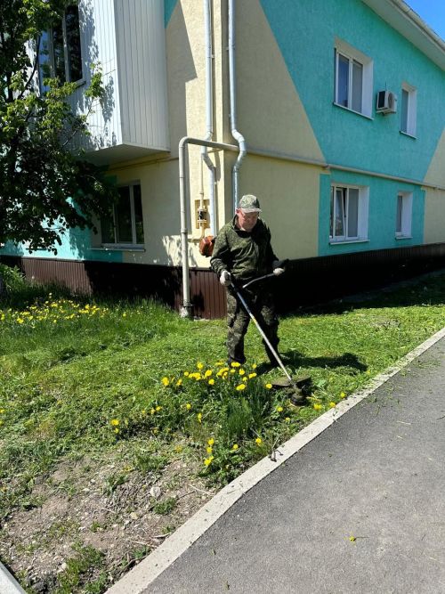 Активные работы по благоустройству: ТОСы приводят территории в порядок