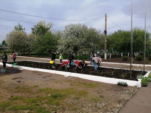 Посадка цветов в школе Каразерик