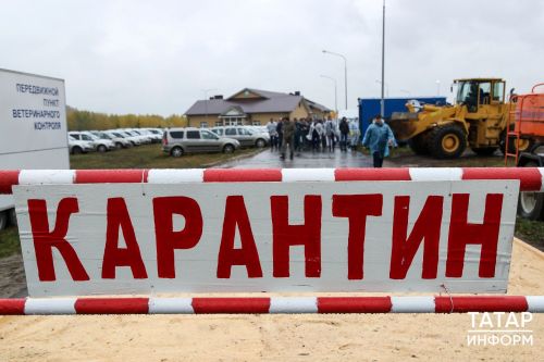 В Татарстане выявлены случаи бешенства: что нужно знать жителям
