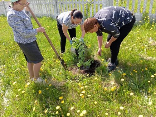 Эколого-патриотическая акция Сад Памяти