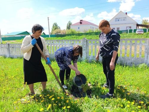 Эколого-патриотическая акция Сад Памяти