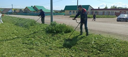 У кого что, а у нас субботник