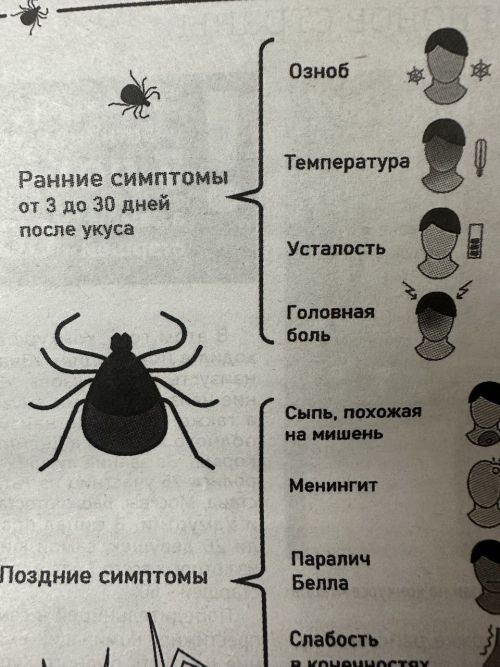 Будьте осторожны на природе: клещи вышли на охоту