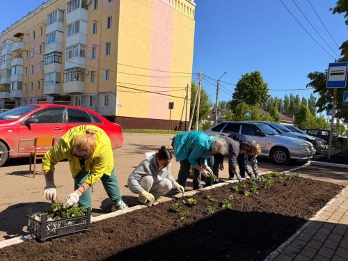 Субботник по благоустройству школы