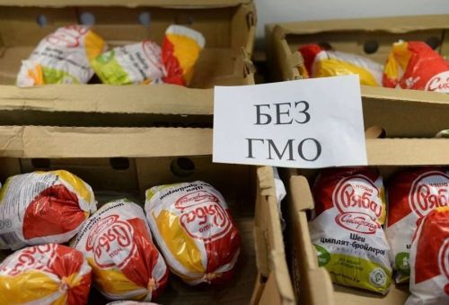 ГМО – безобидный миф или потенциальная опасность?