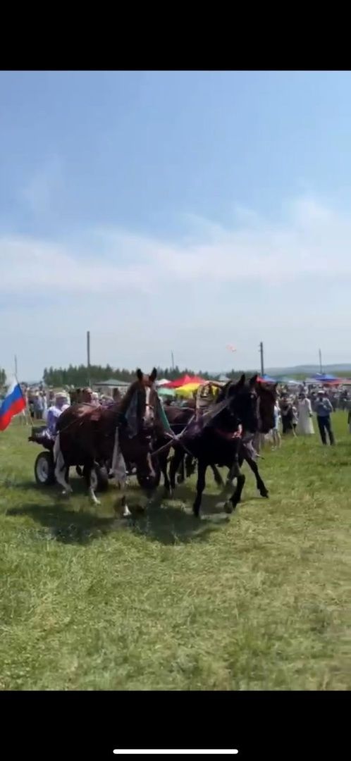 Сабантуй: праздник единства и традиций