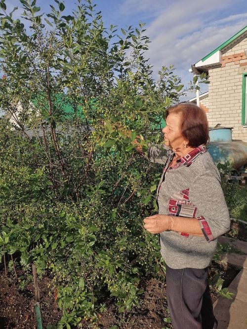 Помощь и забота: Дари добро