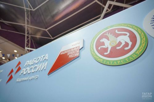 Модернизация службы занятости в Татарстане: новые стандарты и подходы