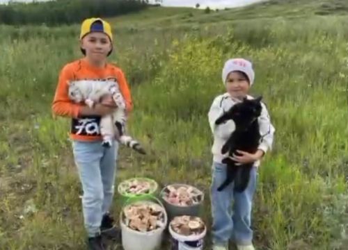 Как  Файзрахмановы проводят лето