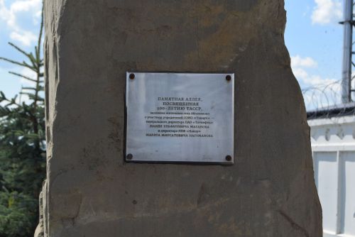 Зачем приехала в район делегация ТПП?