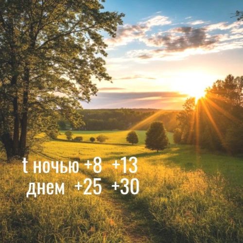 Погода на 21 июля