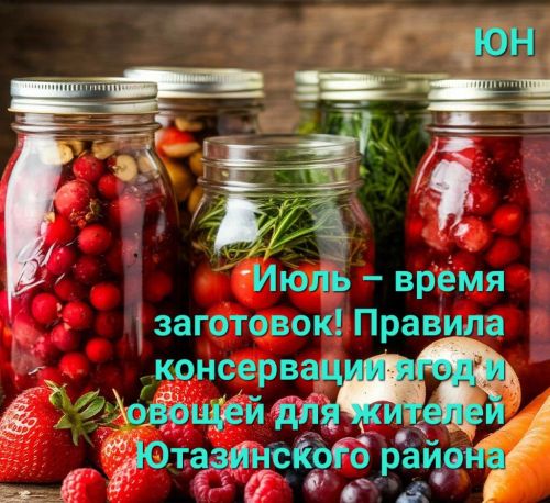 Июль – самый разгар лета, а значит, пора заготавливать витамины на зиму