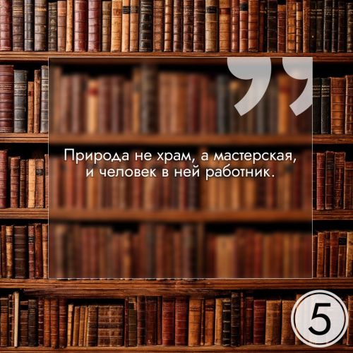 31 июля: день, когда мы вспоминаем лучшие книги