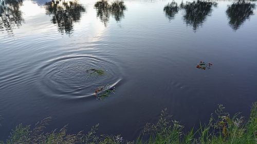 Праздник Ивана Купалы в Дым-Тамаке: волшебство традиций и единства