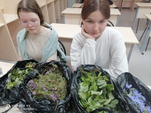 Ароматный чай для героев и день, полный открытий в «Пчелке»