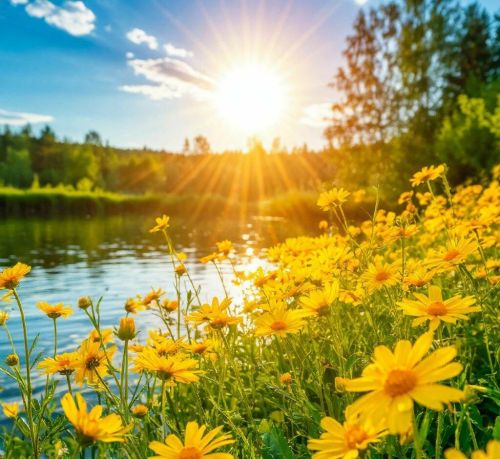 Жара до +35°C: Как защититься жителям Ютазинского района в понедельник?