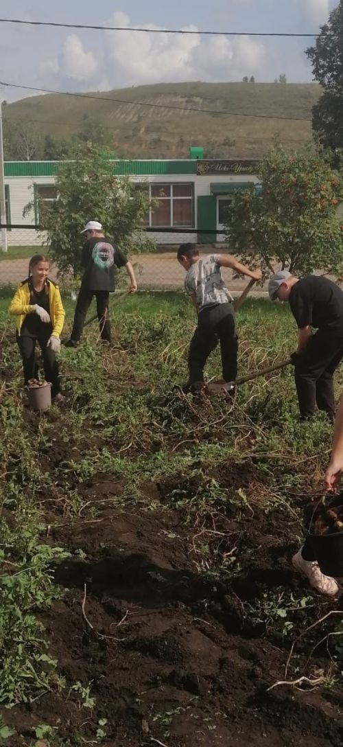 «Осенний урожай патриотов» собрали ученики Старо-Уруссинской школы