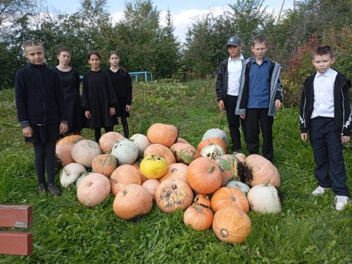 Уроки, которые учат ценить природу: опыт юных аграриев