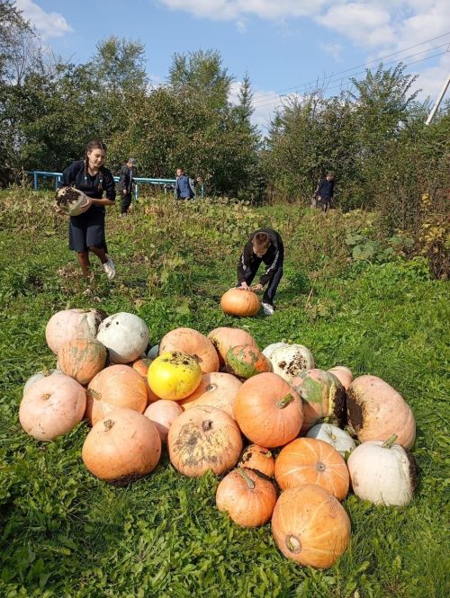 Уроки, которые учат ценить природу: опыт юных аграриев