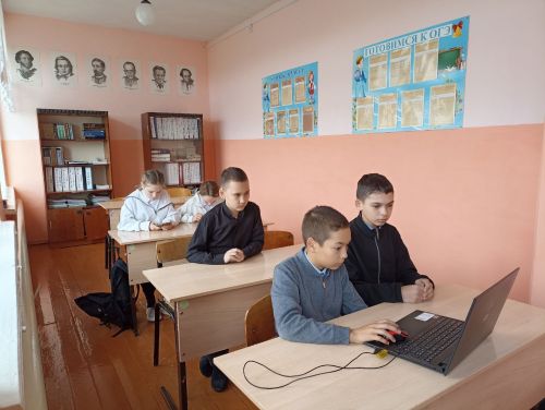 Ученики Каракашлинской школы участвуют в интернет олимпиаде по ПДД