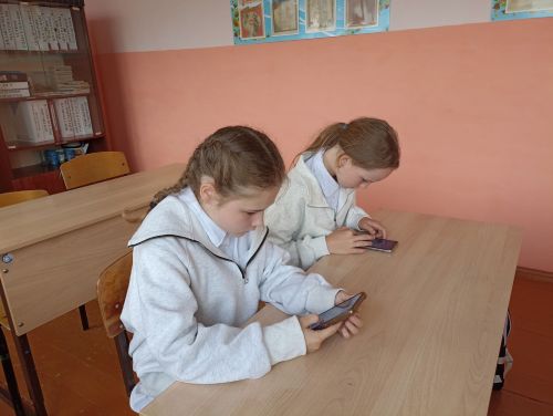 Ученики Каракашлинской школы участвуют в интернет олимпиаде по ПДД