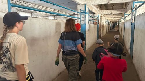 Экскурсия первоклассников на конную ферму: незабываемые моменты