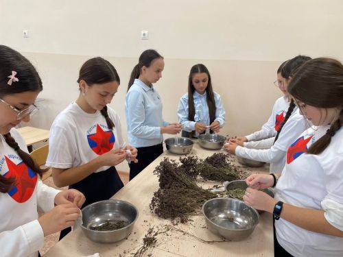 Акция в Уруссинской гимназии: душица для участников СВО