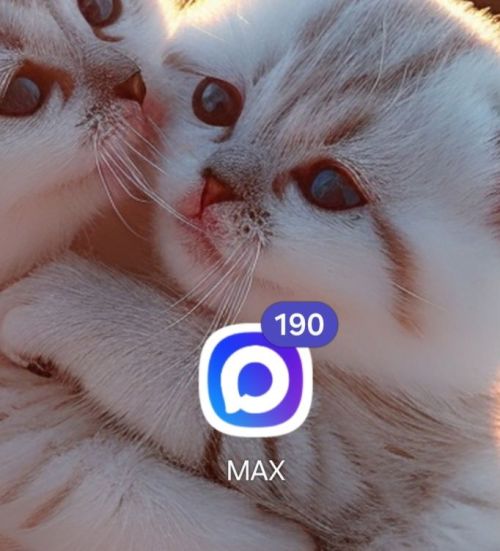 Меры безопасности в мессенджере MAX