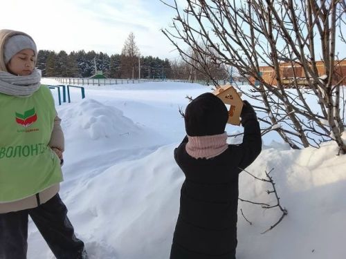 «Тёплые сердца» помогают пернатым пережить холода