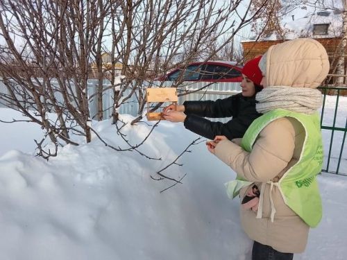 «Тёплые сердца» помогают пернатым пережить холода