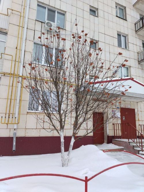 Доброе утро!