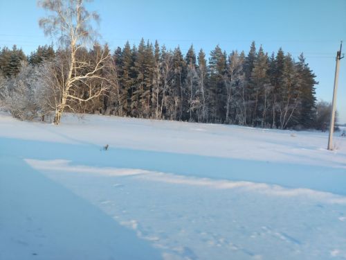 С добрым утром!