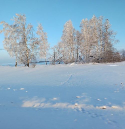 С наступившим солнечным и чудесным утром!
