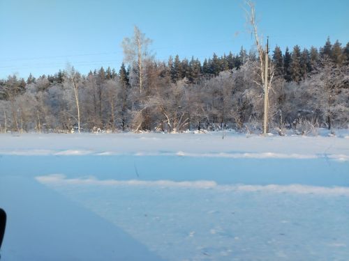 Доброе утро!