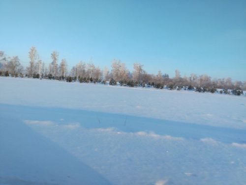 Доброго и прекрасного утра!