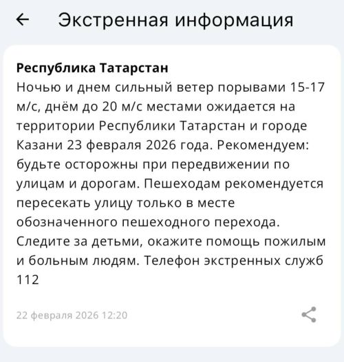 Сильный ветер ожидается в Татарстане 23 февраля