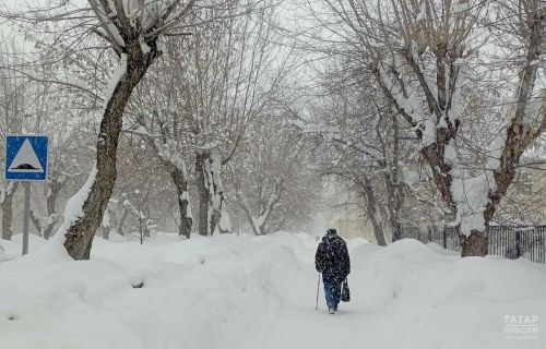 МЧС предупредило жителей Татарстана об усилении ветра до 18 м/с