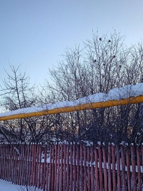С началом новой рабочей недели, ютазинцы!