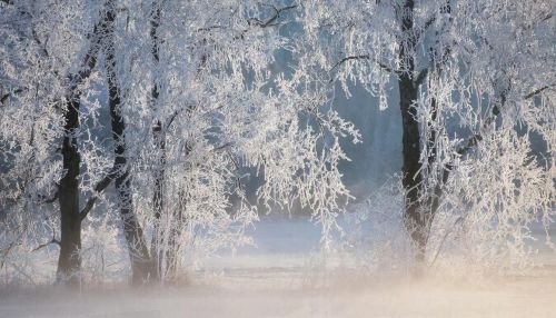 Тимофеев день: народные приметы и традиции