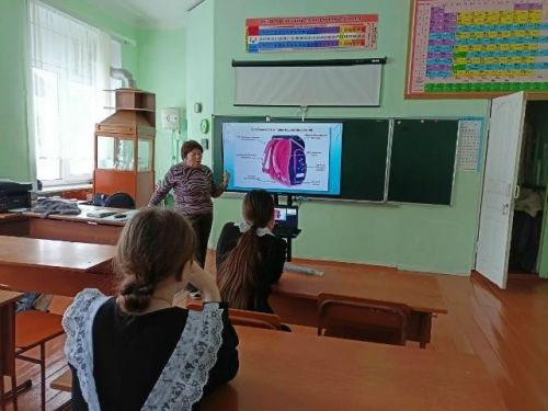 Рюкзак без вреда для спины
