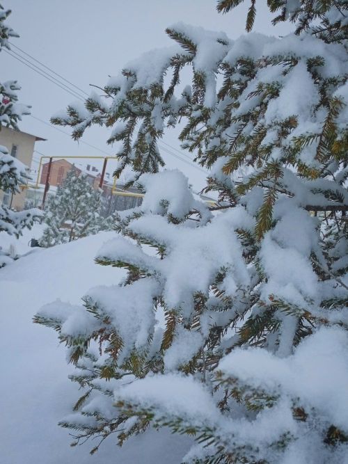 Аксиньин день: запреты и приметы на 6 февраля