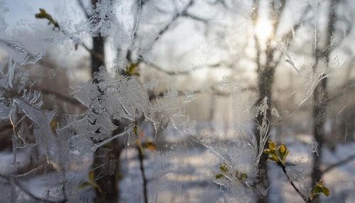 Доброе утро, уважаемые ютазинцы!