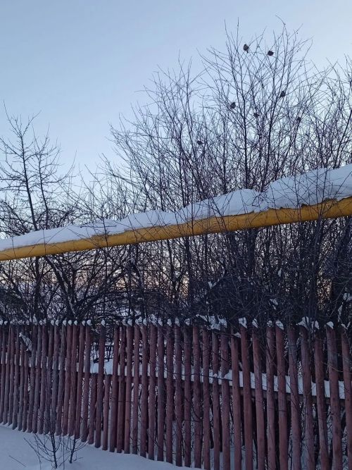 Доброе утро, уважаемые читатели!