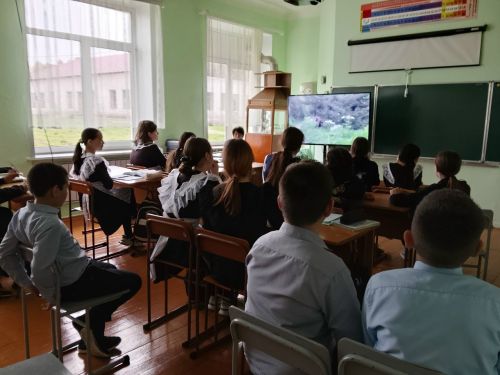 Простые но важные советы: Как вести себя, если нападает собака