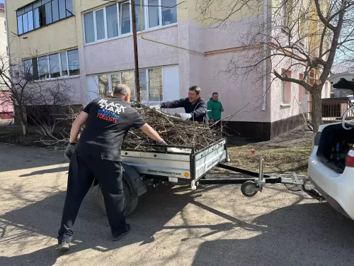 Чистота начинается с нас: как жители ТОС «Центральный» превратили свой двор в образец уюта